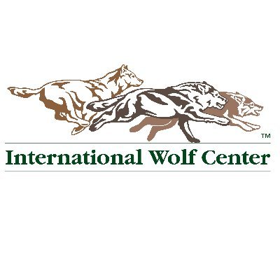 International Wolf Centerr